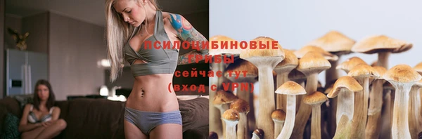тгк Балахна