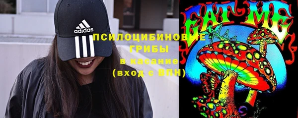 тгк Балахна