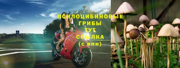 тгк Балахна