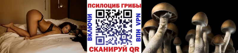 как найти закладки  Рудня  Галлюциногенные грибы мухоморы 